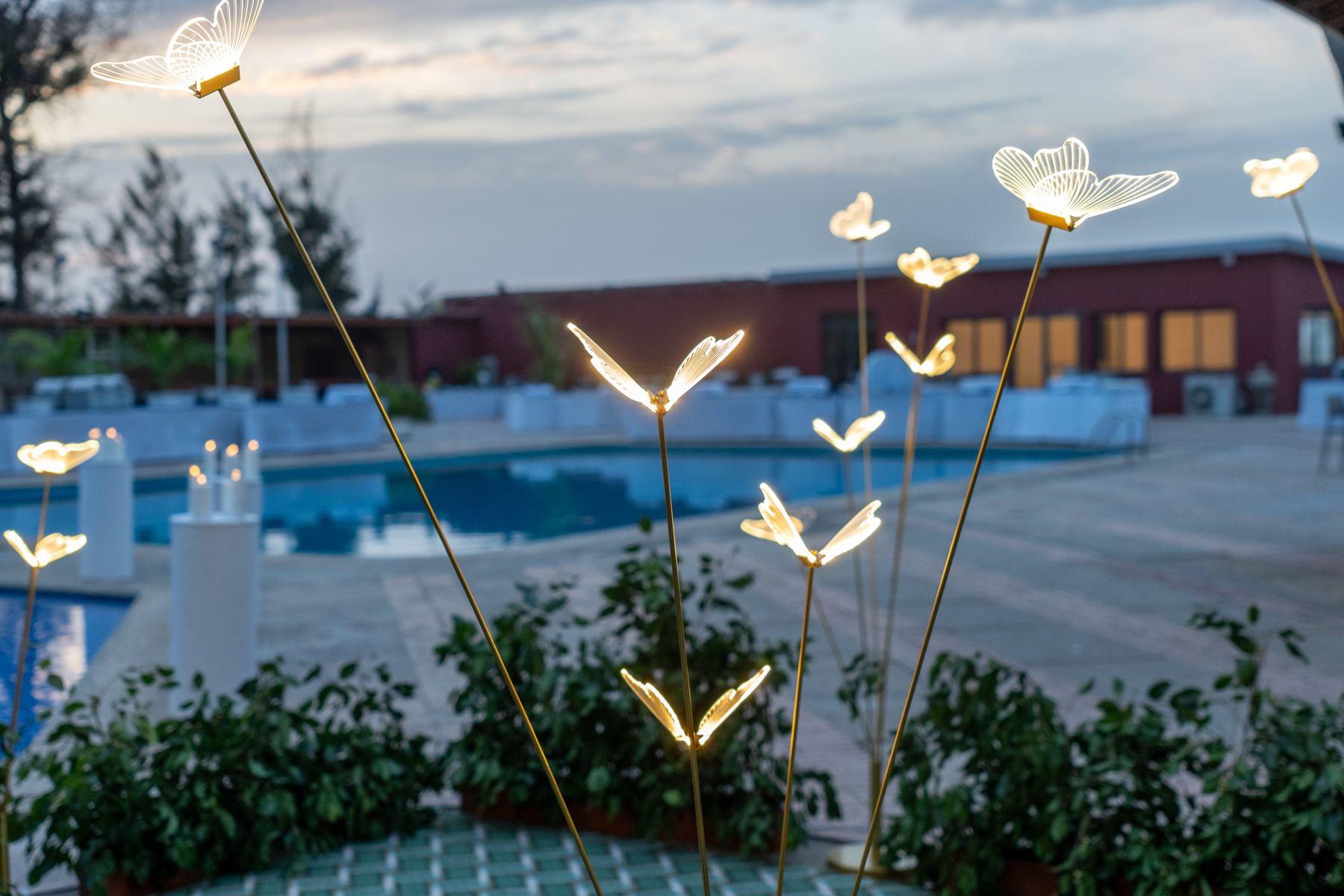 Luminaires papillons au bord de la piscine au crépuscule