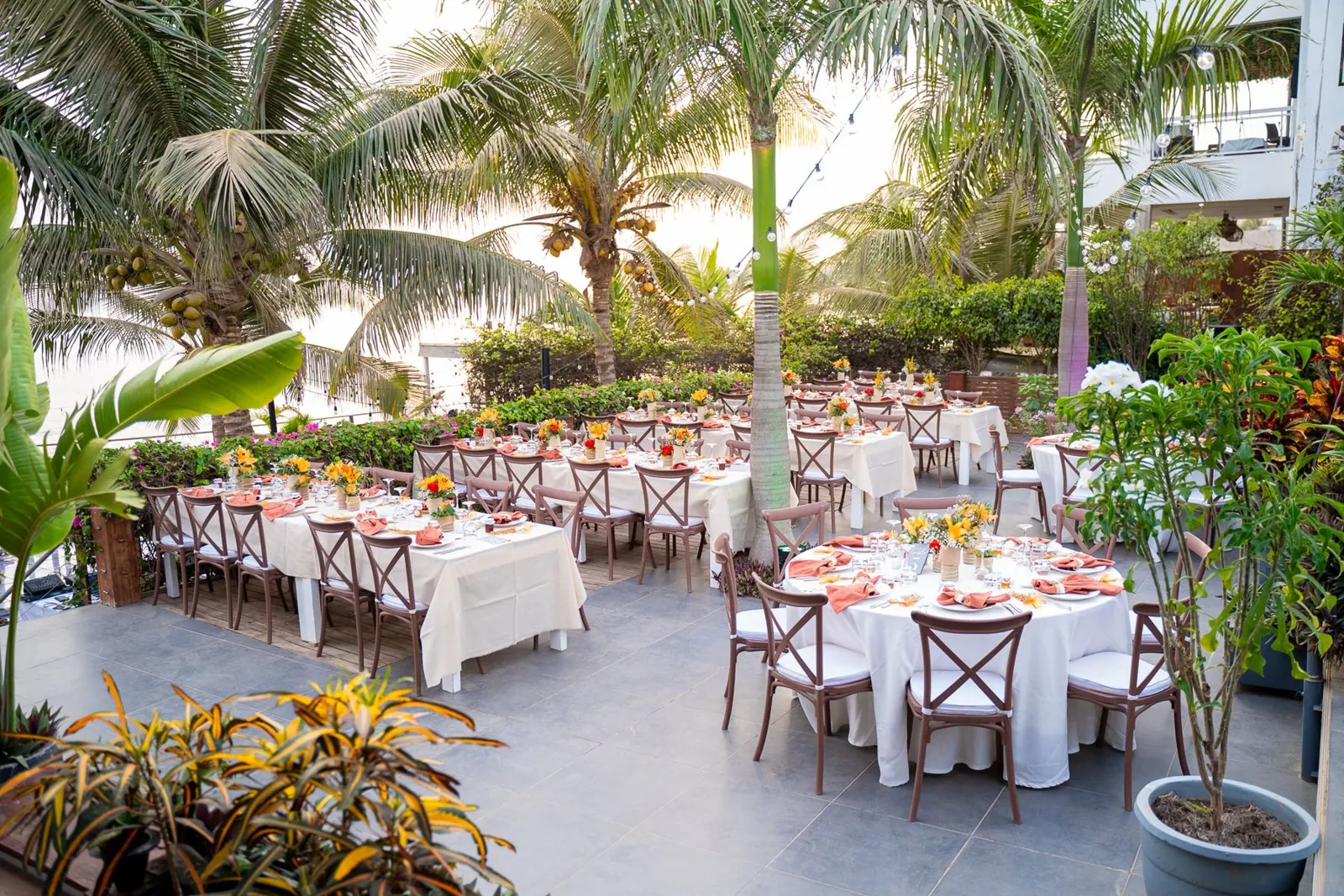 Terrasse de réception sous les palmiers au bord de l'eau