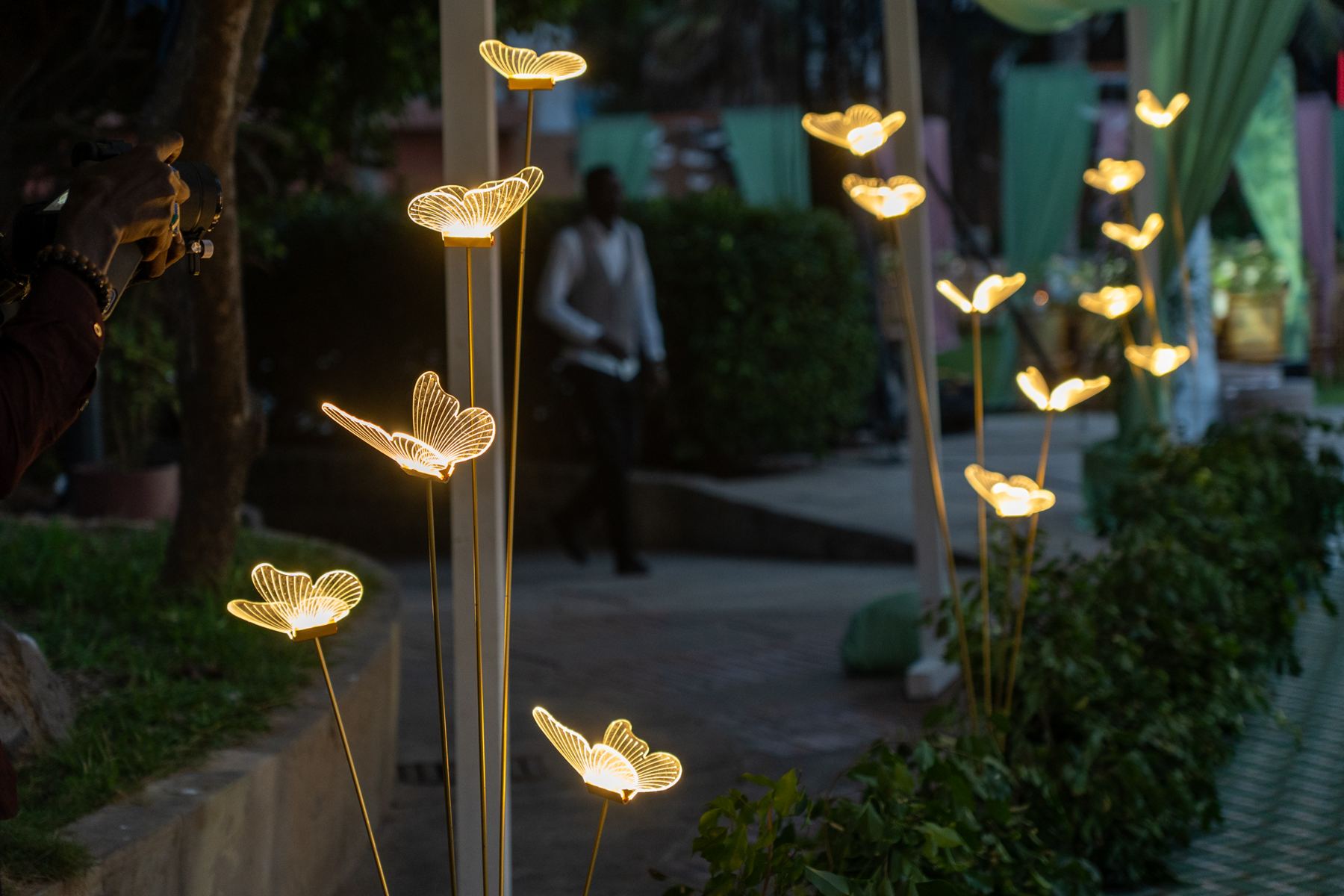 Luminaires papillons éclairant une allée le soir