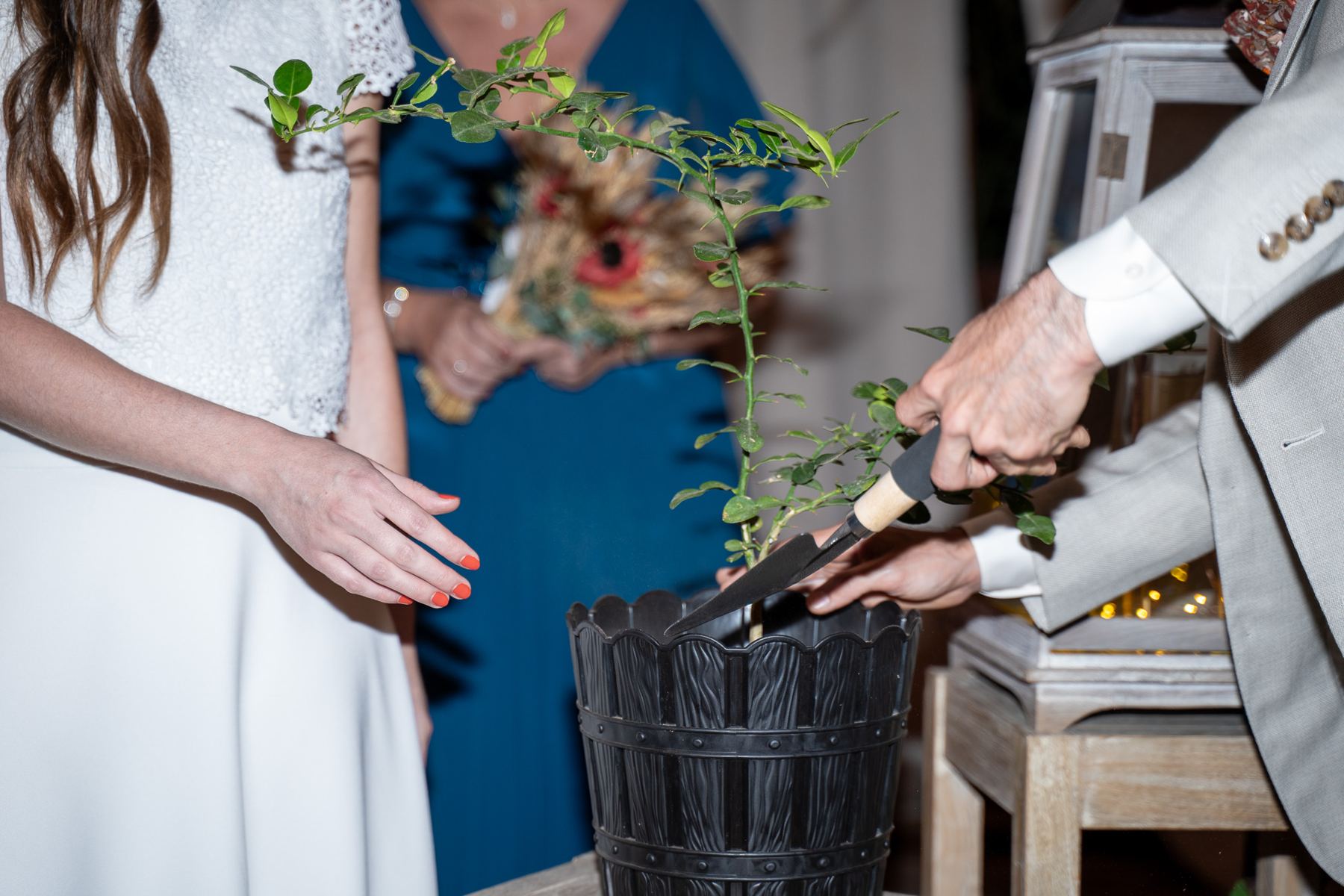 Les mariés plantent un arbre, rituel symbolique de la cérémonie